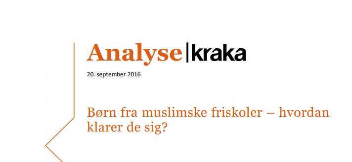 Kraka Analyse